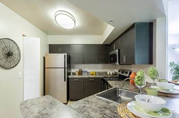 Upgraded Kitchen with Stainless Steel Appliances at Pembroke Pines Landings, Florida